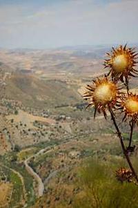 You Don't Know JS Yet